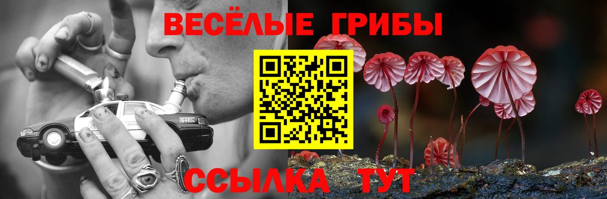 Псилоцибиновые грибы мицелий  Вход с VPN  хочу   Нефтекамск 